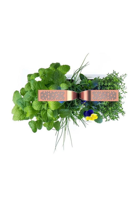 Αυτόνομος κήπος σπιτιού Veritable Smart 33 × 18,5 x 45 cm VPOT.SSBCO.EU2.158 πορτοκαλί AA00