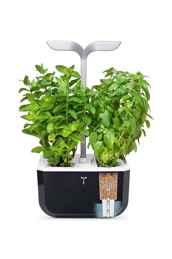 Αυτόνομος κήπος σπιτιού Veritable Exky Smart 20 × 18 cm VEXK.SSBAS.EU2.163 μαύρο AA00