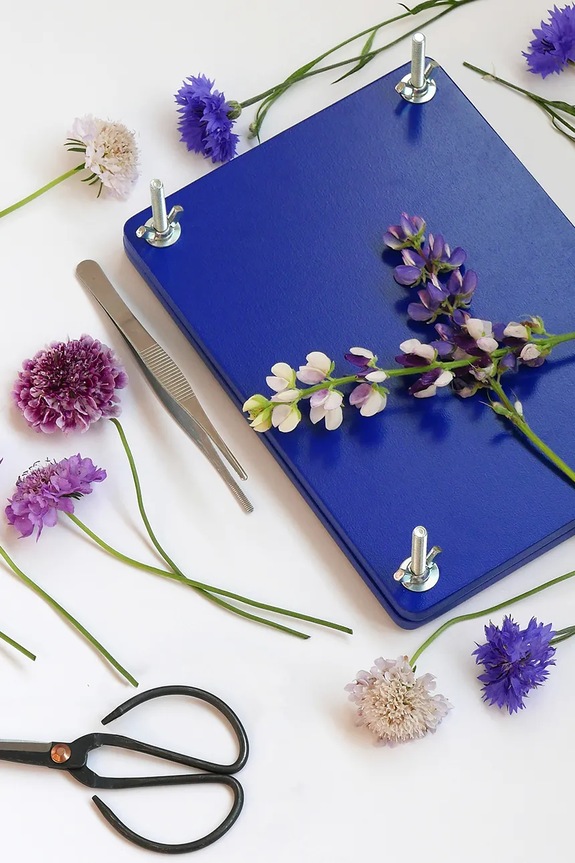 Diy σετ λουλουδιών επίπεδης ξήρανσης Printworks Flower Press PW00704