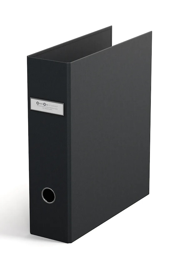 Bigso Box of Sweden segregator szary 550145647.99