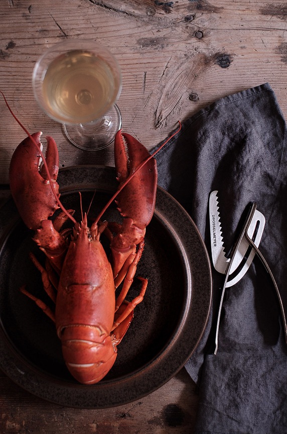 Drosselmeyer clește pentru crustacee gri CAP02B