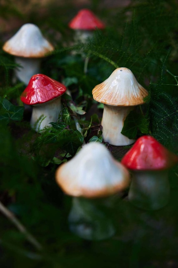 Αλατιέρα και πιπεριέρα Byon Mushi 5283908414 πολύχρωμο AA00