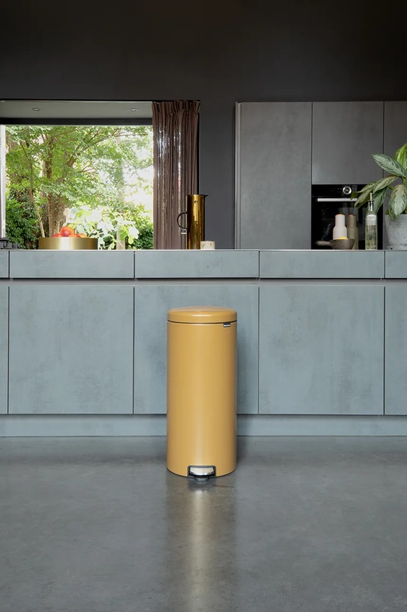 Κάδος σκουπιδιών Brabantia 30 l 238765