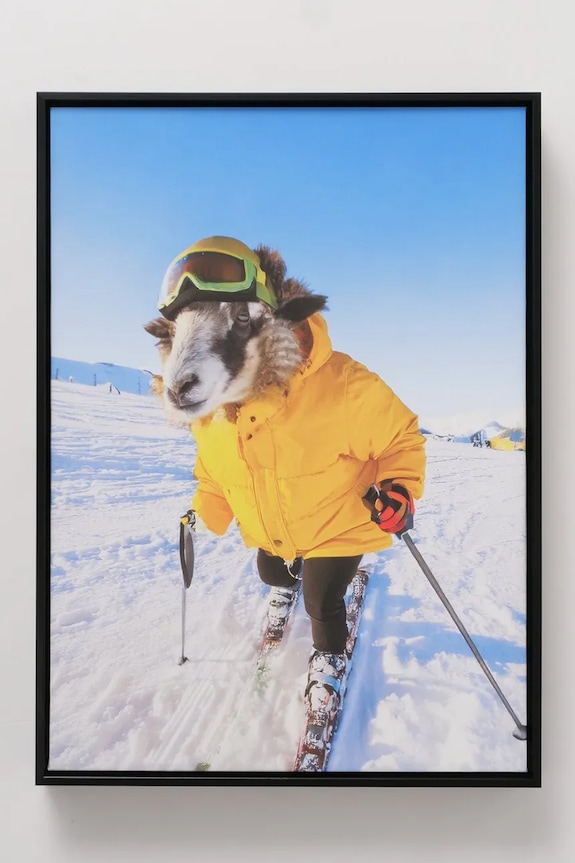 Nástenná dekorácia v ráme Boltze Skian 40 x 55 cm 2069645 viacfarebná AA00