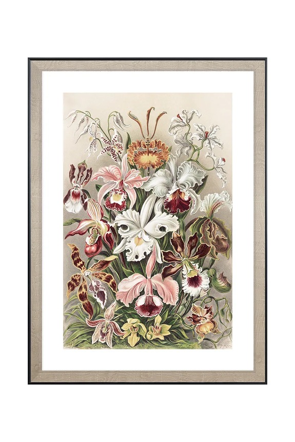 fali dekoráció keretben 50 x 70 cm többszínű 1541211.23108
