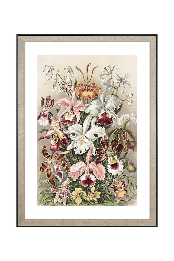 fali dekoráció keretben 50 x 70 cm többszínű 1541211.23108