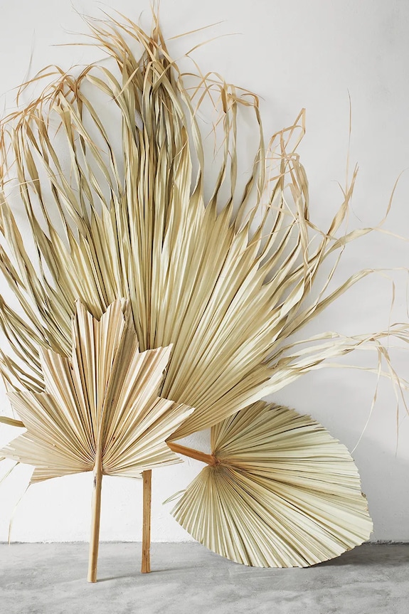 Madam Stoltz dekoracja ścienna Palm Leaves 60-70 cm 3-pack DC21003.4.6 beżowy AA00