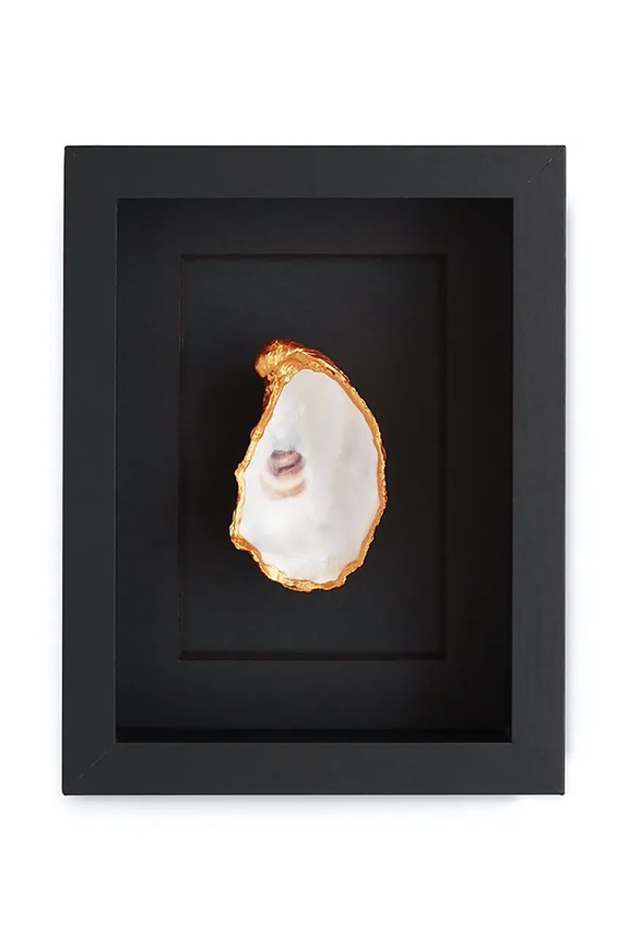 Настенная декорация в раме Maria el Mar Single Oyster 22 x 17 cm чёрный 1212