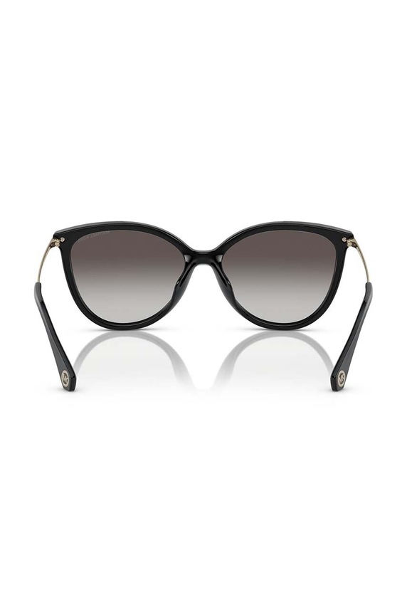 Sunčane naočale Michael Kors 0MK2184U crna