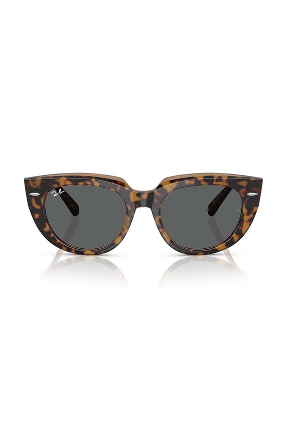Doplňky Sluneční brýle Ray-Ban 0RB2286 hnědá