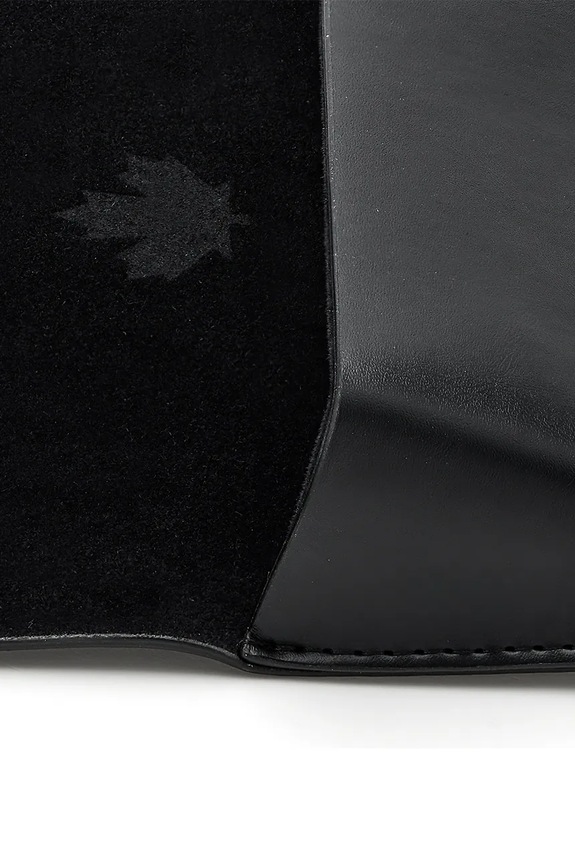 Naočale DSQUARED2 D2.0170/S