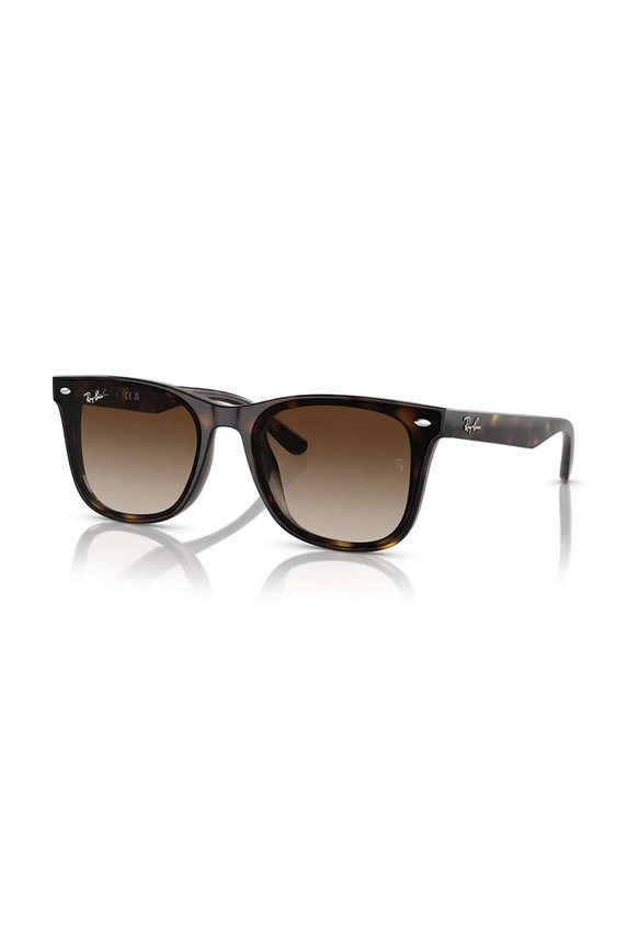 Doplňky Sluneční brýle Ray-Ban 0RB4420 hnědá