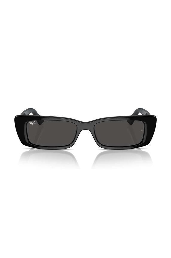 Ray-Ban sunglasses TERU 0RB4425 black