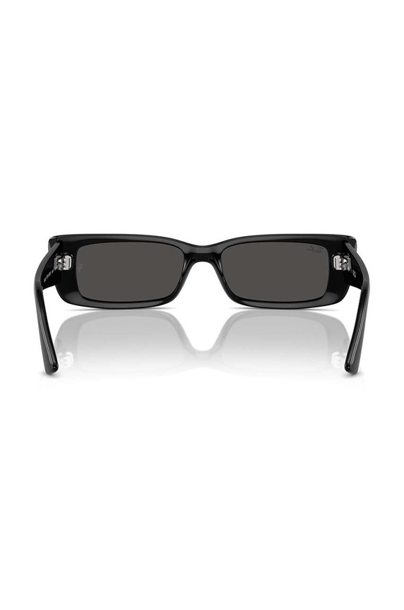 Ray-Ban sunglasses TERU 0RB4425