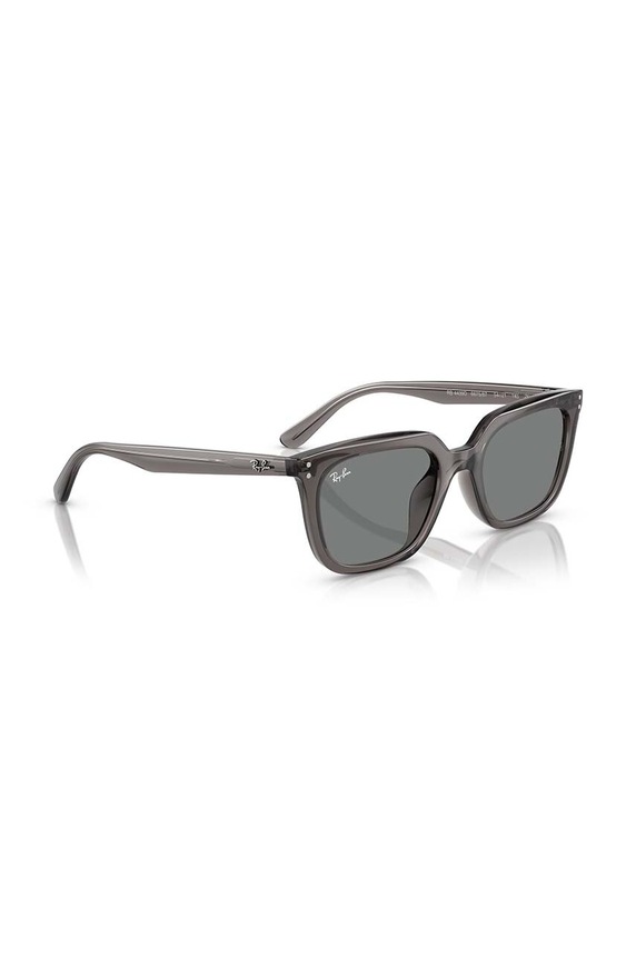 Ray-Ban sunglasses 0RB4439D.667587