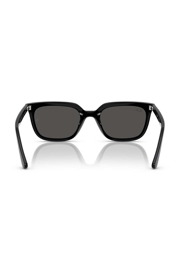Ray-Ban sunglasses 0RB4439D.901/87