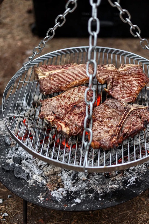 Σχάρα κρεμαστή πάνω από τη φωτιά Petromax 2,7 x 50 cm H.GRATE50