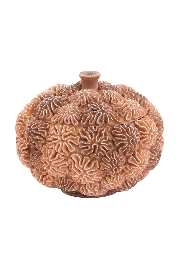 Nádoba Light & Living 20 x 15,5 cm oranžová 5741382