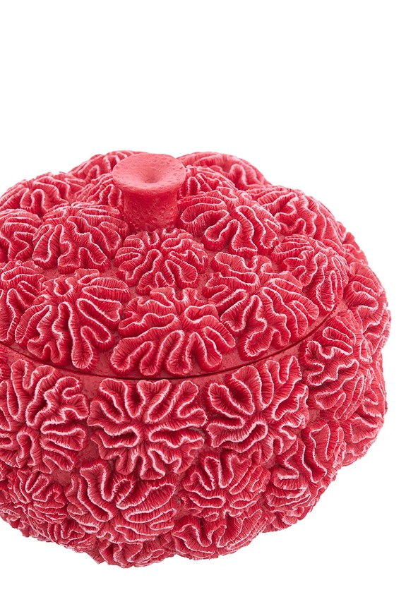 Posoda Light & Living 17 x 16 cm 5741217 roza AA00