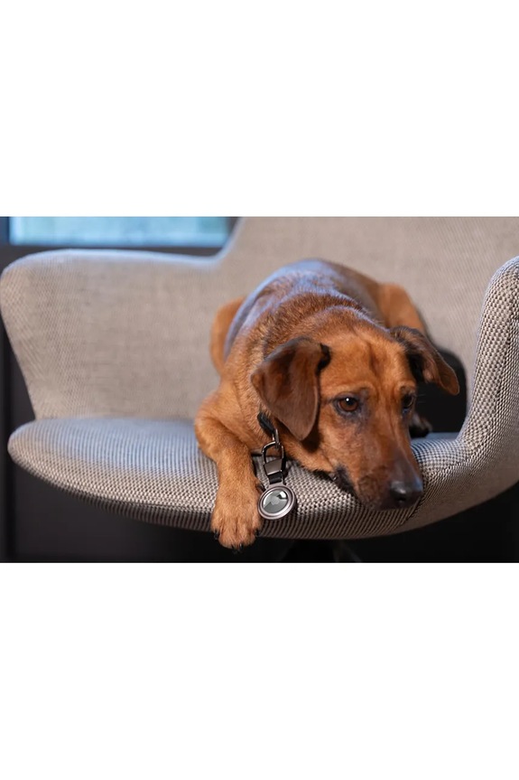 Troika brelok na klucze 8,5 x 3,7 x 1 cm TRKR25.05.SI