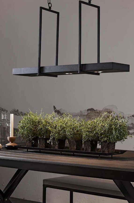 Markslöjd lampa wisząca Tray 105780 czarny AA00