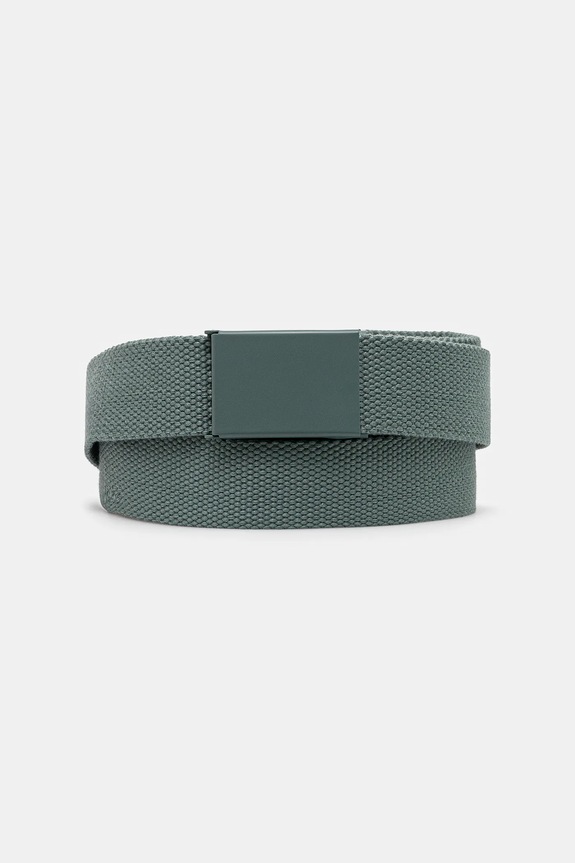 Carhartt WIP pasek Script Belt Tonal zielony I028401.2M2XX