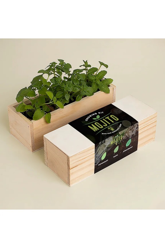 Σετ για την καλλιέργεια φυτών RESETEA Mojito Growing Kit 21 x 7,8 x 6,5 cm πολύχρωμο Erst161
