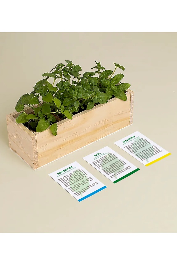 Lifestyle Σετ για την καλλιέργεια φυτών RESETEA Mojito Growing Kit 21 x 7,8 x 6,5 cm Erst161 πολύχρωμο
