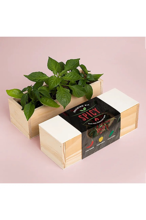Σετ για την καλλιέργεια φυτών RESETEA Spicy Growing Kit 21 x 7,8 x 6,5 cm πολύχρωμο Erst163