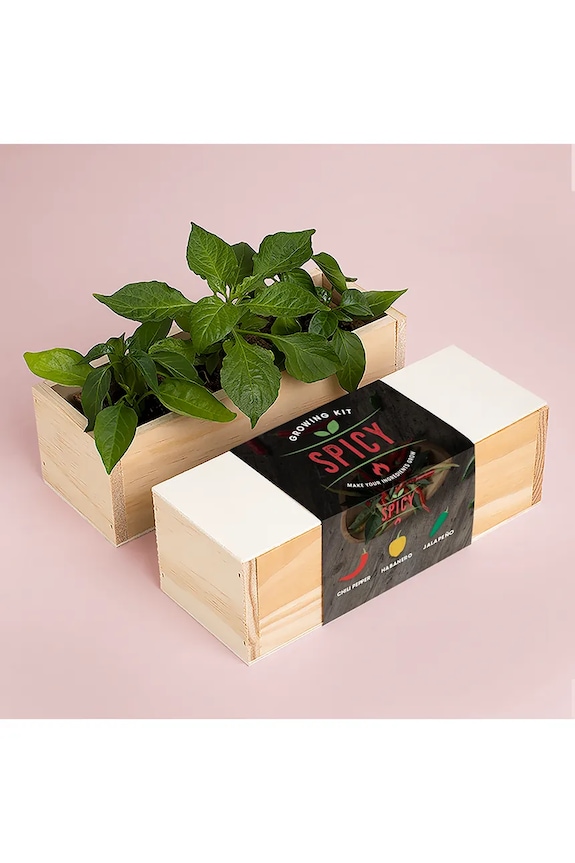 Σετ για την καλλιέργεια φυτών RESETEA Spicy Growing Kit 21 x 7,8 x 6,5 cm πολύχρωμο Erst163