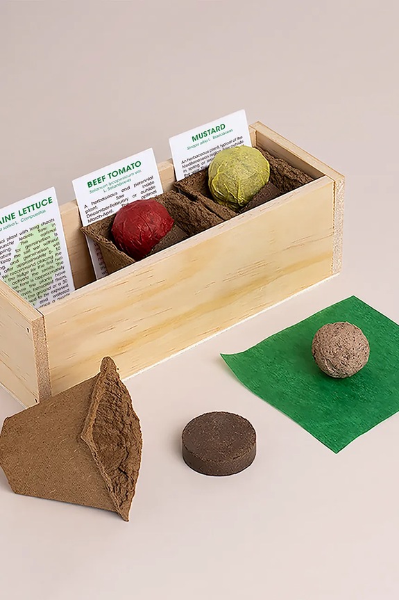 RESETEA set per la coltivazione di piante Hamburger Growing Kit 21 x 7,8 x 6,5 cm Erst170 multicolore AA00