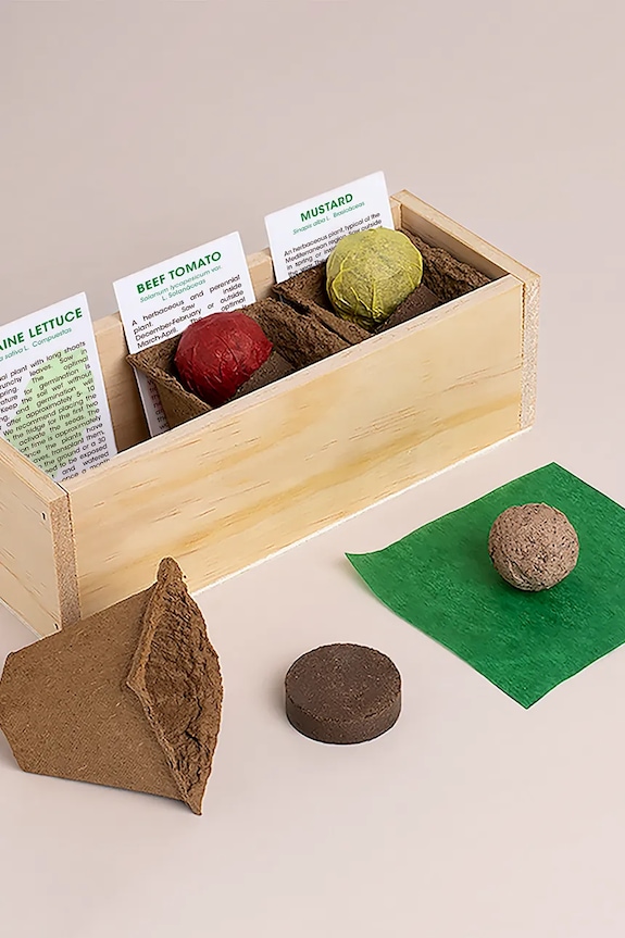 RESETEA set per la coltivazione di piante Hamburger Growing Kit 21 x 7,8 x 6,5 cm Erst170 multicolore AA00