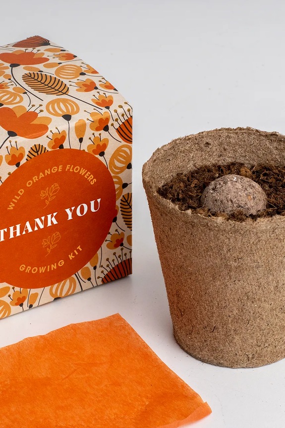 Lifestyle Σετ για την καλλιέργεια λουλουδιών RESETEA Say it with Flowers Growing Kit 8,8 x 8,8 x 8,8 cm Erst174 πολύχρωμο