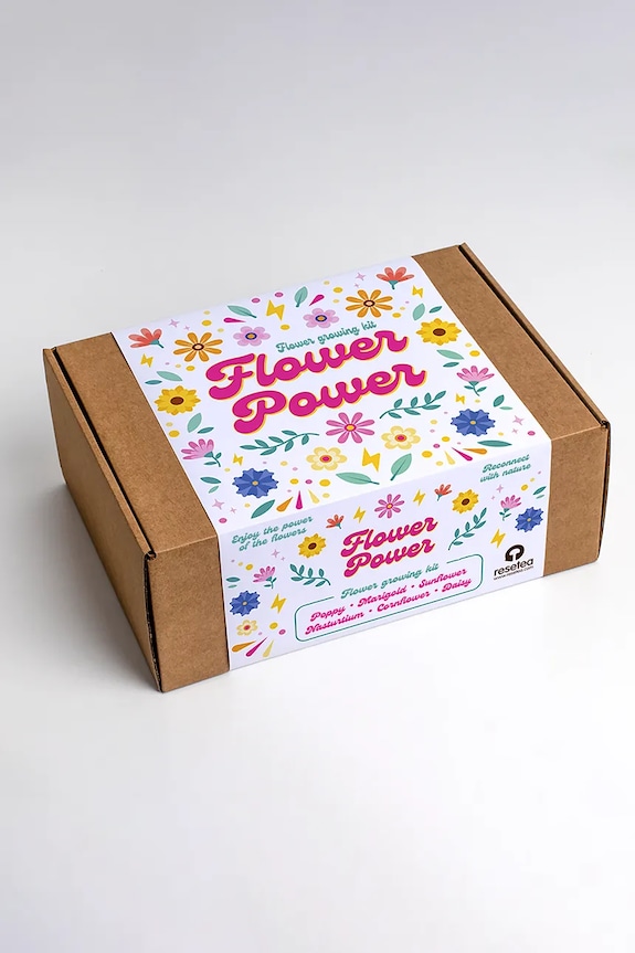 Σετ για την καλλιέργεια λουλουδιών RESETEA Flower Power 26,5 x 10 x 16 cm πολύχρωμο Erst505