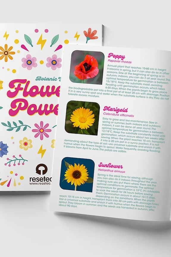 Σετ για την καλλιέργεια λουλουδιών RESETEA Flower Power 26,5 x 10 x 16 cm Erst505 πολύχρωμο
