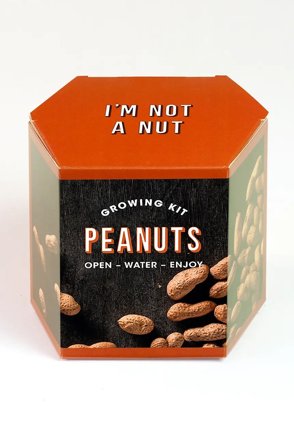 Σετ για την καλλιέργεια ενός φυτού RESETEA Peanuts Growing Kit 9,8 x 8,8 x 8,8 cm πολύχρωμο Erst175