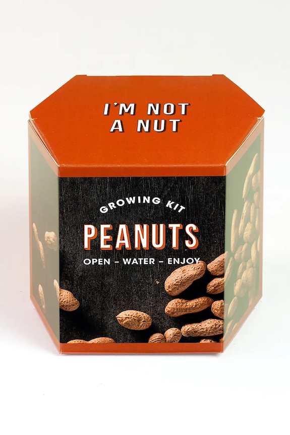 Σετ για την καλλιέργεια ενός φυτού RESETEA Peanuts Growing Kit 9,8 x 8,8 x 8,8 cm πολύχρωμο Erst175