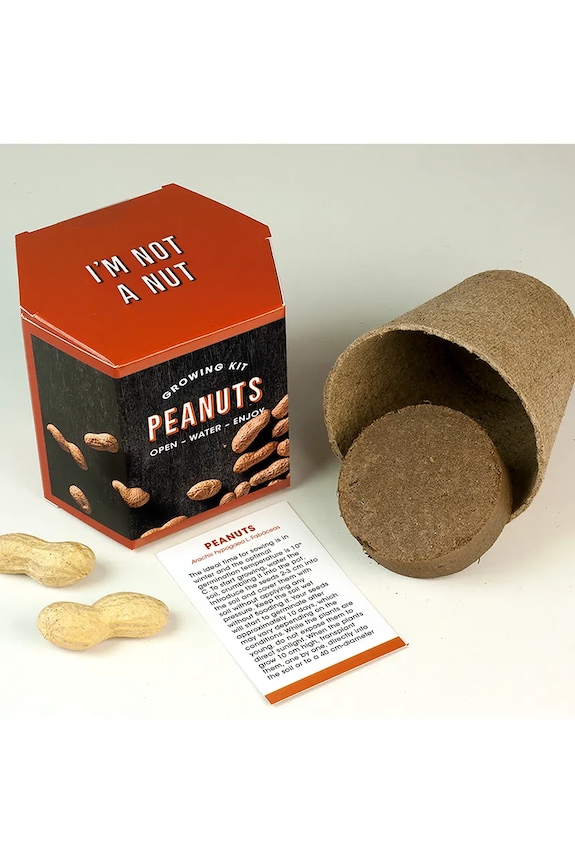 Σετ για την καλλιέργεια ενός φυτού RESETEA Peanuts Growing Kit 9,8 x 8,8 x 8,8 cm Erst175 πολύχρωμο AA00