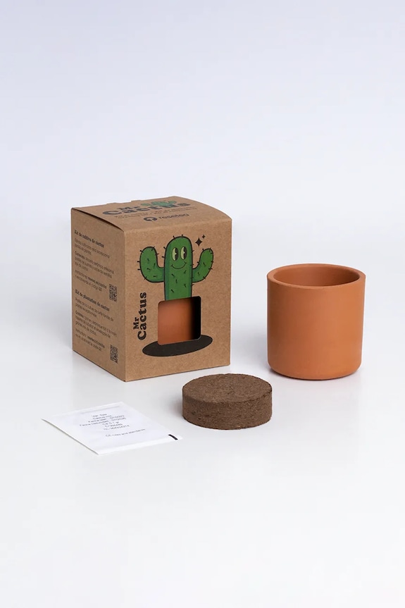 Набор для выращивания растений RESETEA Mr Cactus 8,5 x 10,7 x 8,5 cm Rst422 мультиколор AA00