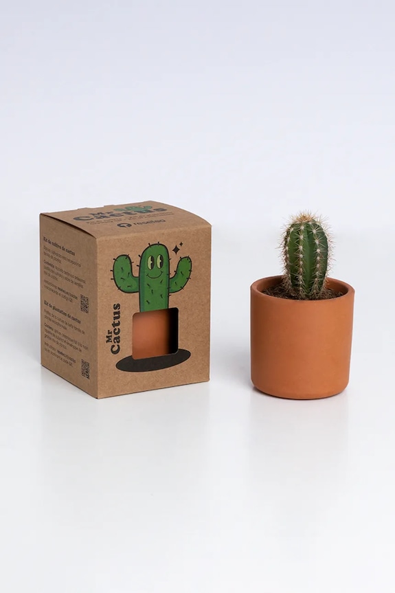 Лайфстайл Набор для выращивания растений RESETEA Mr Cactus 8,5 x 10,7 x 8,5 cm Rst422 мультиколор