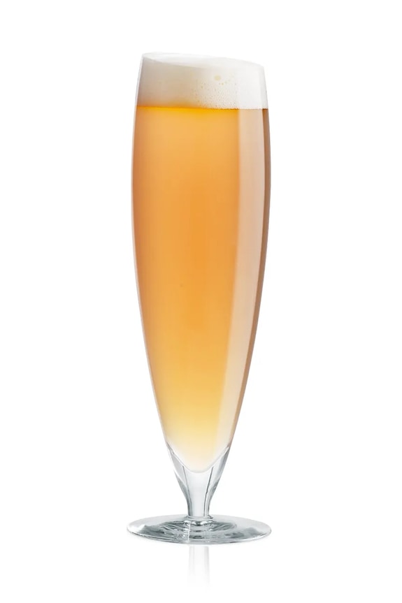 Kuhinja i bar Set čaša za pivo Eva Solo 0,5 L 6-pack 541128 transparentna