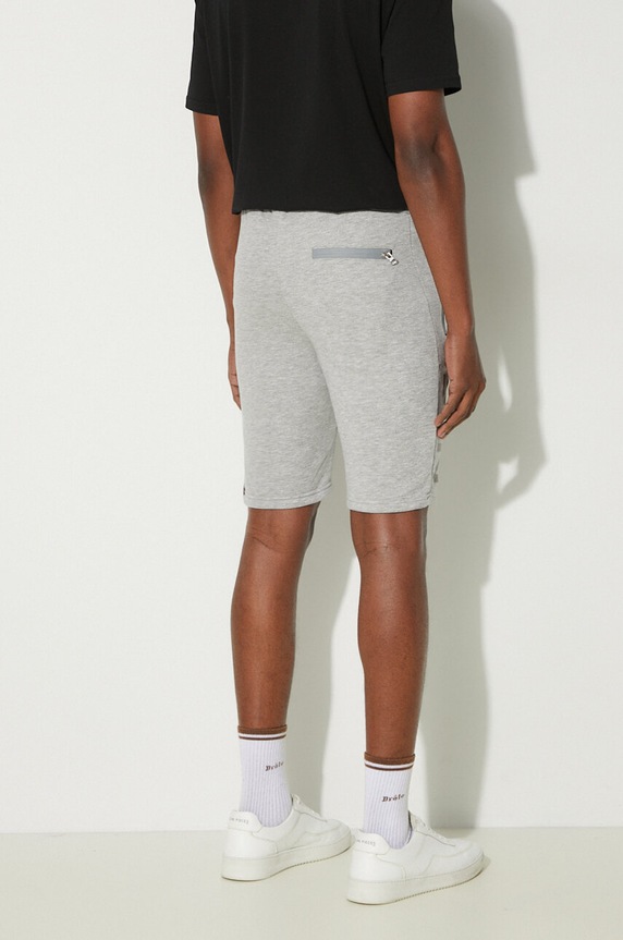Шорты Alpha Industries Oddysey 126336.17 серый AA00