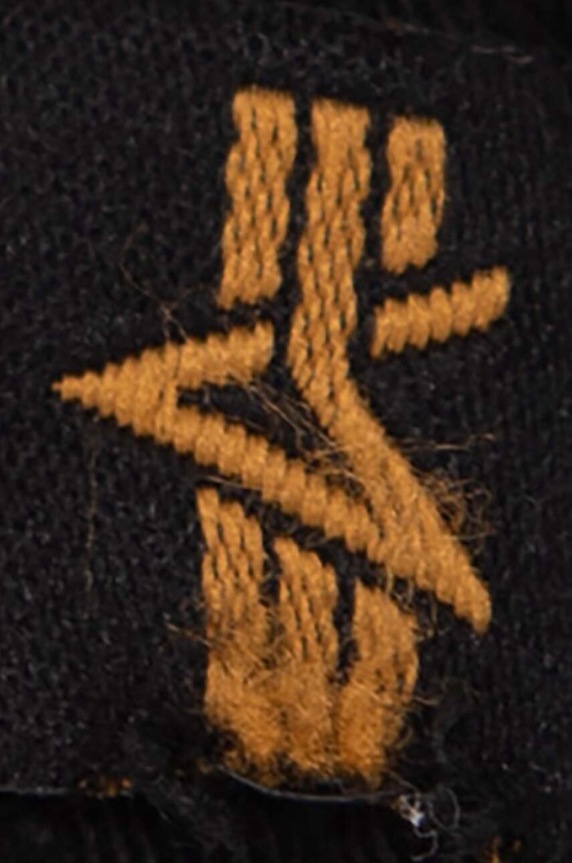 Alpha Industries pantaloncini in cotone nero 106251.03