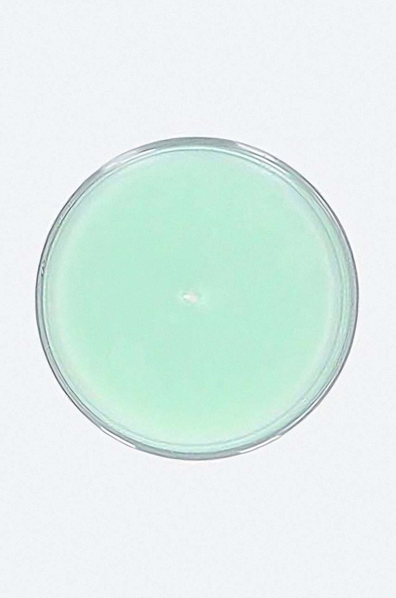 Accessories A.P.C. scented candle YBZAA.M84001 green