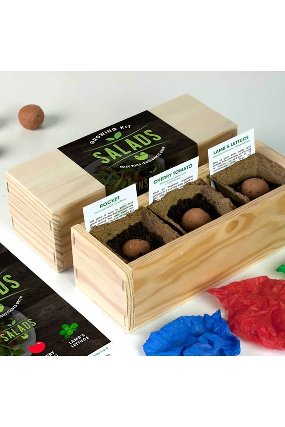 Lifestyle Set za uzgoj salate RESETEA Salad Growing Kit 21 x 7,8 x 6,5 cm Erst164 šarena