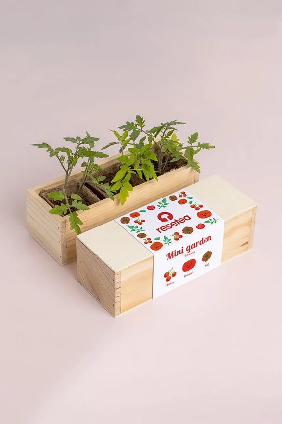 Set za uzgoj biljaka RESETEA Mini garden Tomatoes 21 x 7,8 x 6,5 cm šarena Erst429