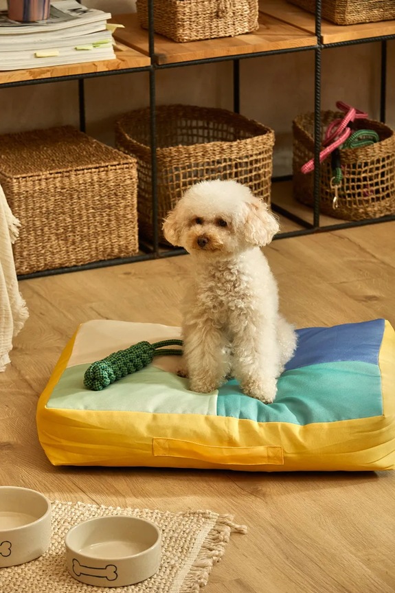 Calma House kutyapárna Buby M BUBY.CS60.TUR