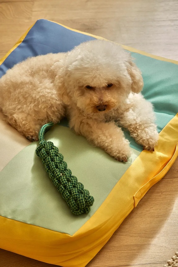 Calma House kutyapárna Buby M BUBY.CS60.TUR