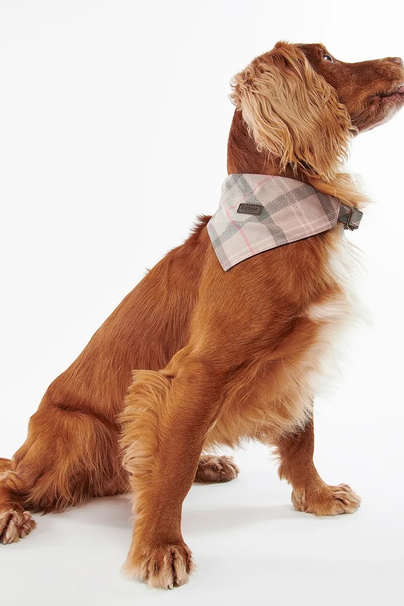 Doplňky Šátek pro domácí mazlíčky Barbour Tartan Dog DAC0013 růžová