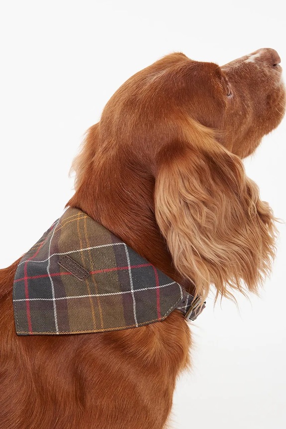 Šátek pro domácí mazlíčky Barbour Tartan Dog hnědá DAC0013